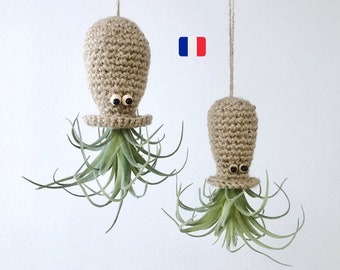 Crochet Pattern - Octopus for Air Plant - 2 Sizes - Easy Tutorial for Beginner - PdF File to Download