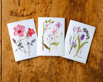Mix and Match A6 Botanical Greetings Cards from Original Artwork for Any Occasion