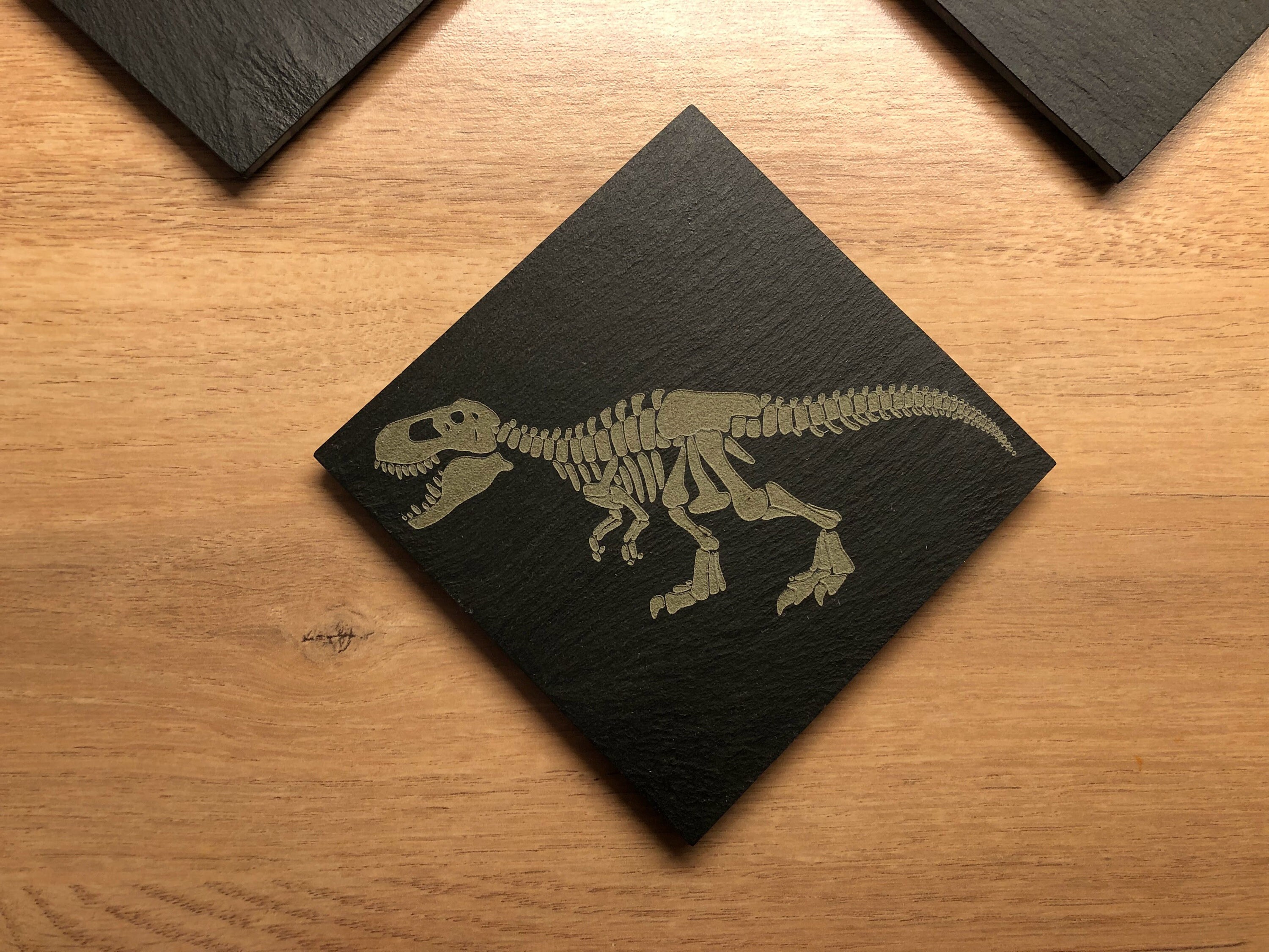 Sous-Verres en Ardoise Gravés avec Des Squelettes de Dinosaures