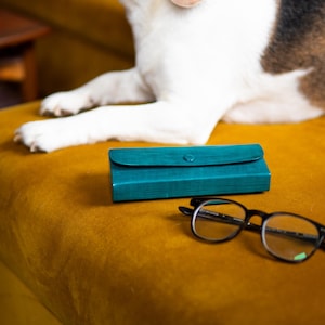 Może przedstawiać: Turkusowe etui na okulary i okulary w czarnych oprawkach spoczywają na powierzchni w kolorze musztardy. W tle znajduje się pies rasy beagle. Etui na okulary jest prostokątne z zapięciem na guzik.