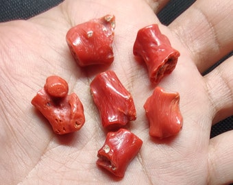 56 CTs 100% Natural Italian Red Coral Polished Rough Gemstone AA+ Quality. Sea Coral Reef Gemstone.