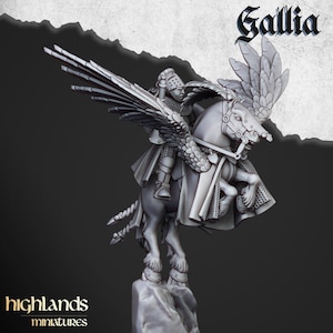 Pegasus Knight Musician of Gallia by Highlands Miniatures