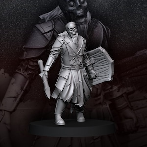 Undead Spirit Warrior