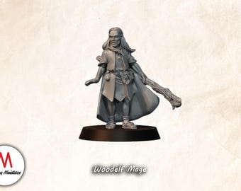 Wood Elf Mage