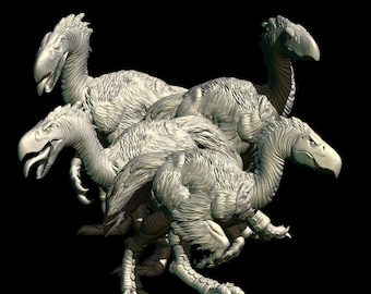 Far South Terror Birds