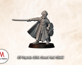 Elf Captain With Sword And Shield