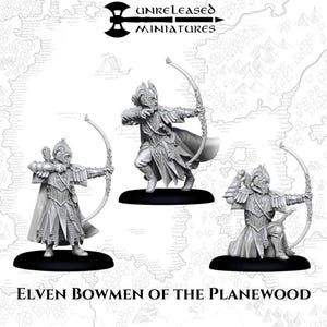 Elven Bowmen of the Planewood