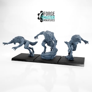 May include: Three grey painted miniature werewolf figures in different poses. The figures are standing on black bases. The figures are from Forge Master Miniatures.
