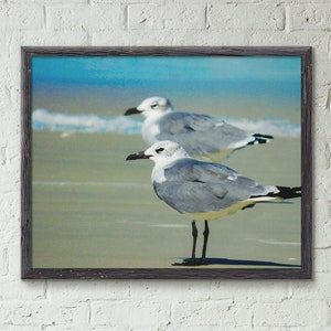 Seagull Beach - Florida Beach Art / Modern Coastal Art / Seagull Decor / Beachy Wall Art / Bird Artwork
