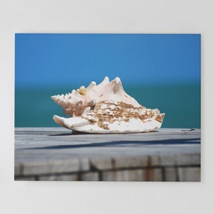 Ocean Calling - Dominican Republic Art / Seashell Art / Dominican Wall Art / Dominican Canvas Art / Dominican Republic Photography Print