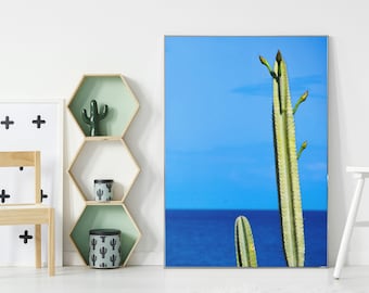Fotografieafdruk tropische cactussen – Muurkunst Dominicaanse Republiek