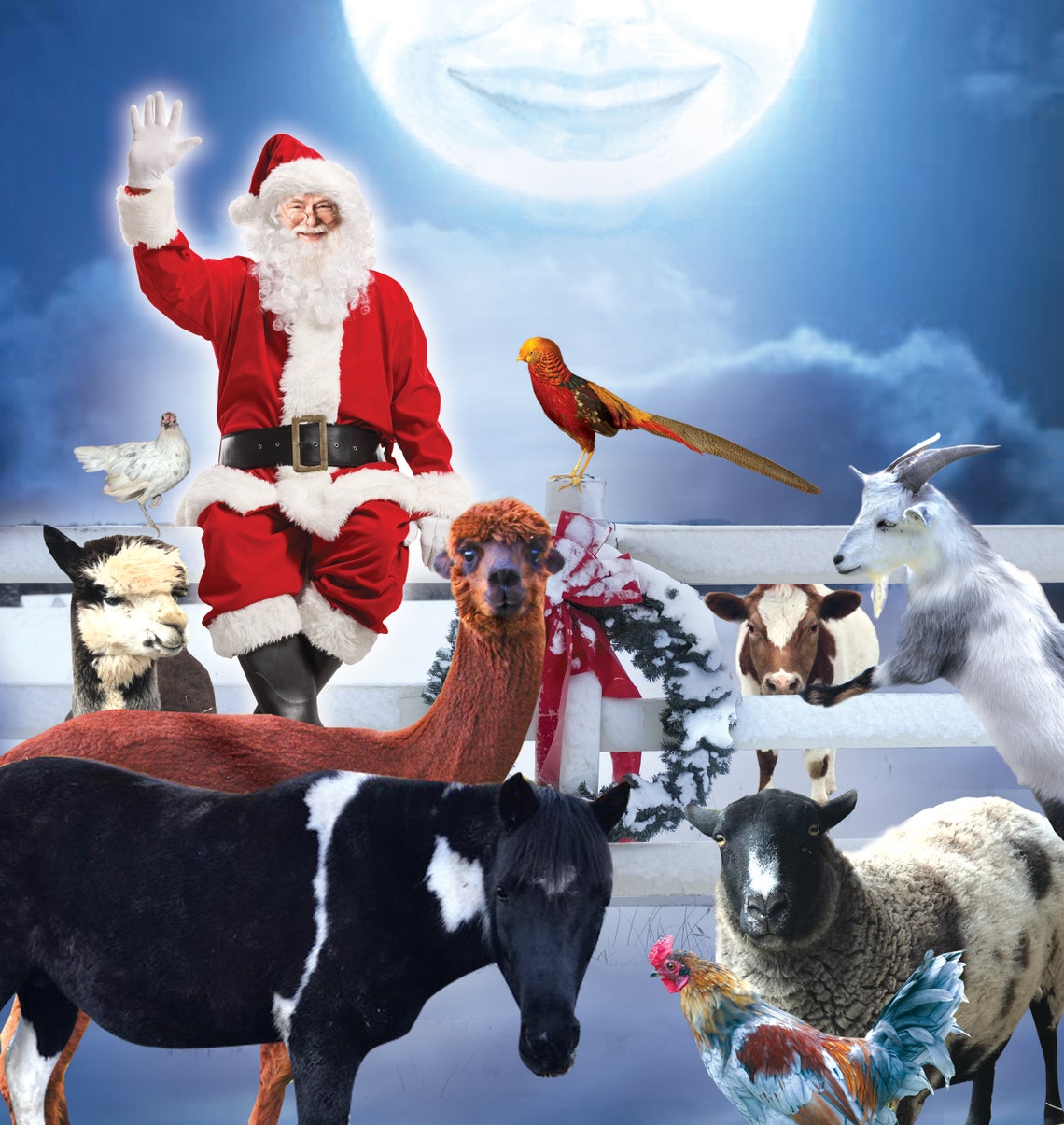 A Farm Animals' Christmas No Ordinary Farm Etsy