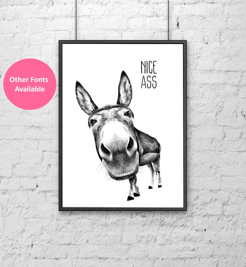 NICE ASS animal print, donkey print, wall print, funny print, funny bathroom print, toilet humour 