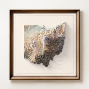 K&ouml;nnte beinhalten: Gerahmte 3D-topografische Karte von Ohio, die das Gel&auml;nde des Staates mit detaillierter Reliefdarstellung zeigt. Die Karte verwendet Erdt&ouml;ne, darunter Braun-, Beige- und Gr&uuml;nt&ouml;ne, in einem dunkelbraunen Holzrahmen. Die Karte ist vor einem cremefarbenen Hintergrund platziert.