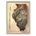 see more listings in the Vintage Maps section