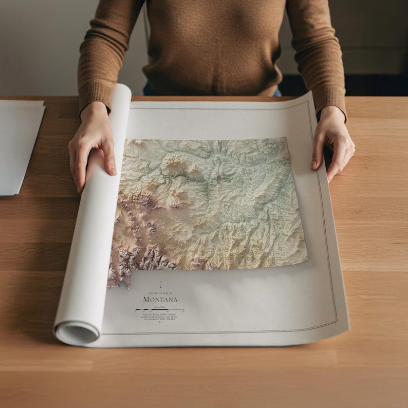 May include: A detailed topographic map of Montana, featuring a 3D relief, is being unrolled. The map displays varying shades of brown, green, and beige, highlighting the state's mountainous terrain. The map is printed on a light-colored paper.