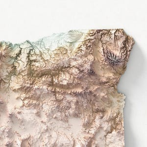 Puede incluir: Un mapa en relieve tridimensional detallado de un estado, que muestra diferentes elevaciones con una paleta de tonos beige, marr&oacute;n y verde. El mapa est&aacute; sobre un fondo blanco, resaltando las caracter&iacute;sticas topogr&aacute;ficas.
