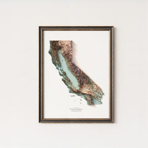 Op de afbeelding: Ingelijste 3D-reli&euml;fkaart van Californi&euml;, met de topografie van de staat in bruin-, groen- en blauwtinten. Het kunstwerk is gevat in een donkerhouten lijst met een gouden binnenrand. Het woord "California" staat onderaan afgedrukt.