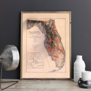 May include: A vintage map of Florida, printed on a cream-colored paper, with a raised relief effect. The map is framed in a light brown wood frame. The title of the map is "The State of Florida, Associated Railway Land Department, 1909".
