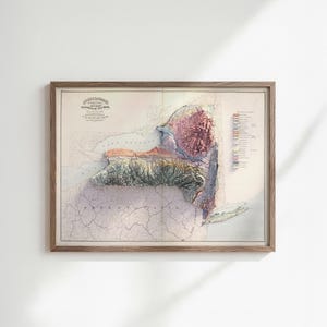 May include: Framed vintage map of New York State, featuring a 3D relief effect. The map displays detailed topography with shades of green, brown, and pink, and includes text at the top left corner. The map is encased in a light brown wooden frame.