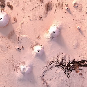 May include: A close-up of a pink, textured surface with several small, white, cone-shaped mounds. The surface has a cracked and weathered appearance, with some areas of darker brown.
