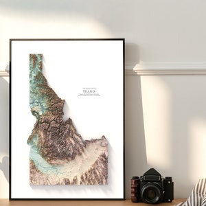 May include: A framed topographic map of Idaho with a white background and a brown, beige, and blue color scheme. The map shows the state's elevation and terrain.