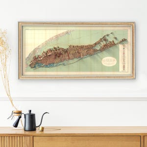 May include: A vintage map of Long Island, New York, in a gold frame. The map is a relief map, showing the topography of the island. The map is printed on a light green background with brown and blue details.