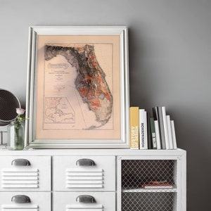May include: A vintage map of Florida in a white frame, hanging above a white dresser with a wire mesh shelf. The map shows the state's counties and waterways. The dresser has a stack of books on the top shelf, including one with the title "History of Design".