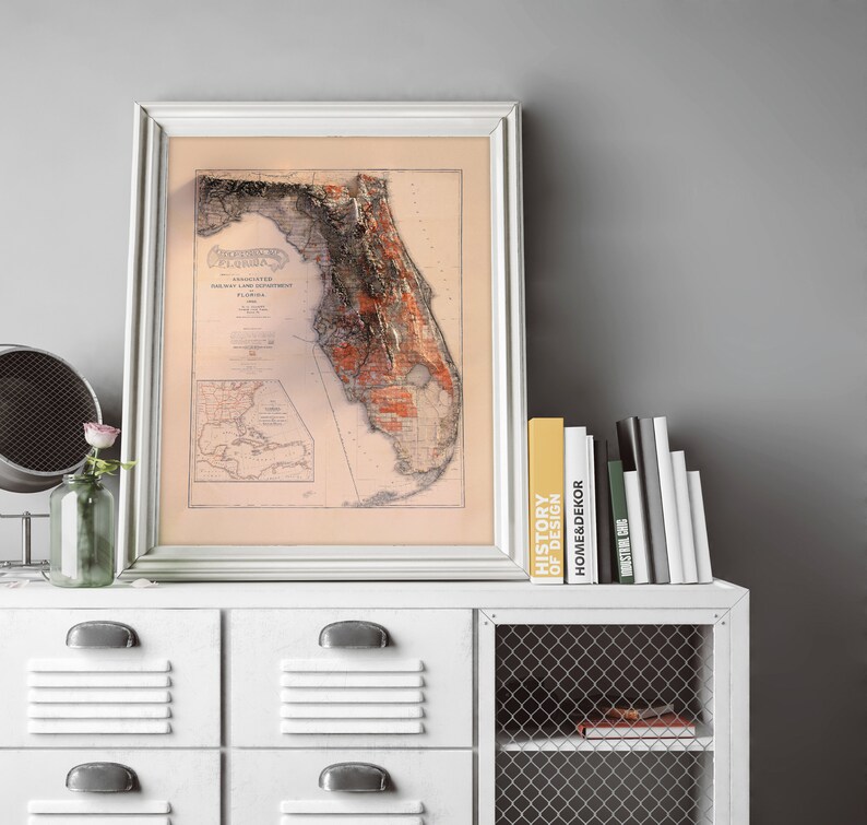May include: A vintage map of Florida in a white frame, hanging above a white dresser with a wire mesh shelf. The map shows the state's counties and waterways. The dresser has a stack of books on the top shelf, including one with the title "History of Design".
