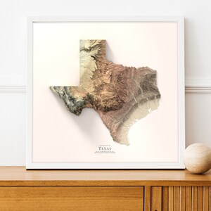 May include: A 3D topographic map of the state of Texas, printed in shades of brown, beige, and green. The map is framed in a white frame and is hanging on a white wall.