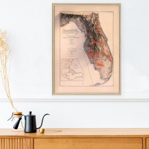 May include: An antique map of the state of Florida, showing the state's topography and railroads. The map is titled "The Peninsula of Florida, Associated Railway Land Department, Florida, 1889".