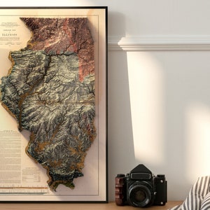 May include: A framed topographic map of the state of Illinois, with a vintage style and a 3D effect. The map is printed on a cream-colored background with brown, green, and gold accents.