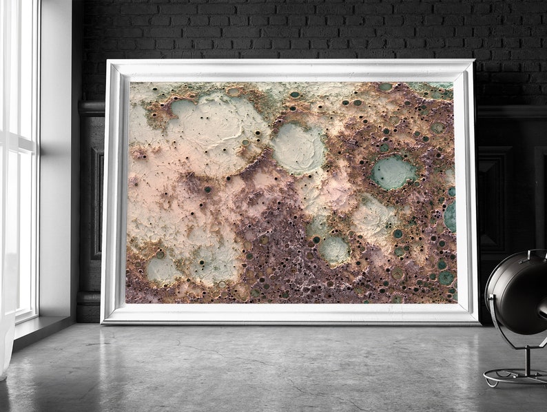 May include: Abstract art print with a textured, mottled surface in shades of brown, pink, and green. The print features a variety of circular shapes and patterns, resembling a celestial landscape.