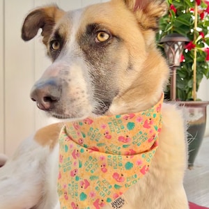 Puede incluir: Un perro marrón claro y blanco con un pañuelo amarillo con flamencos rosas y hojas verdes. El pañuelo tiene el texto "Zero flocks given" repetido. El pañuelo tiene una pequeña etiqueta que dice "Happy Paws Brand".