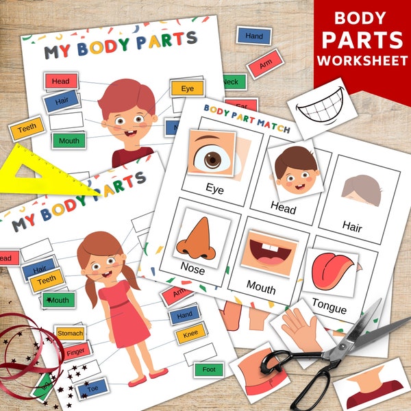 Body parts worksheet printable, body parts activity sheet. homeschool, preschool, reusable activity sheet, educational prints,matching games