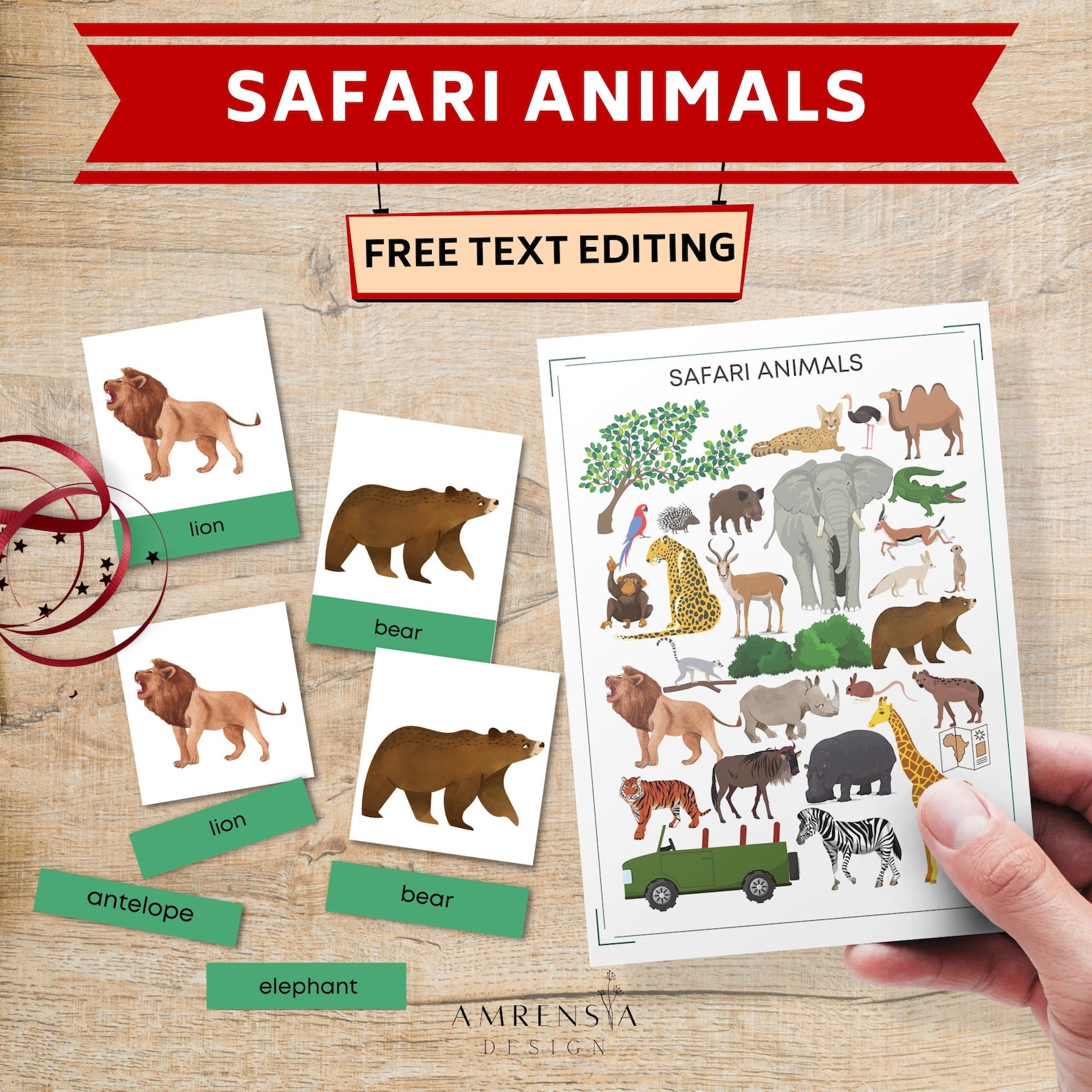 safari flashcards