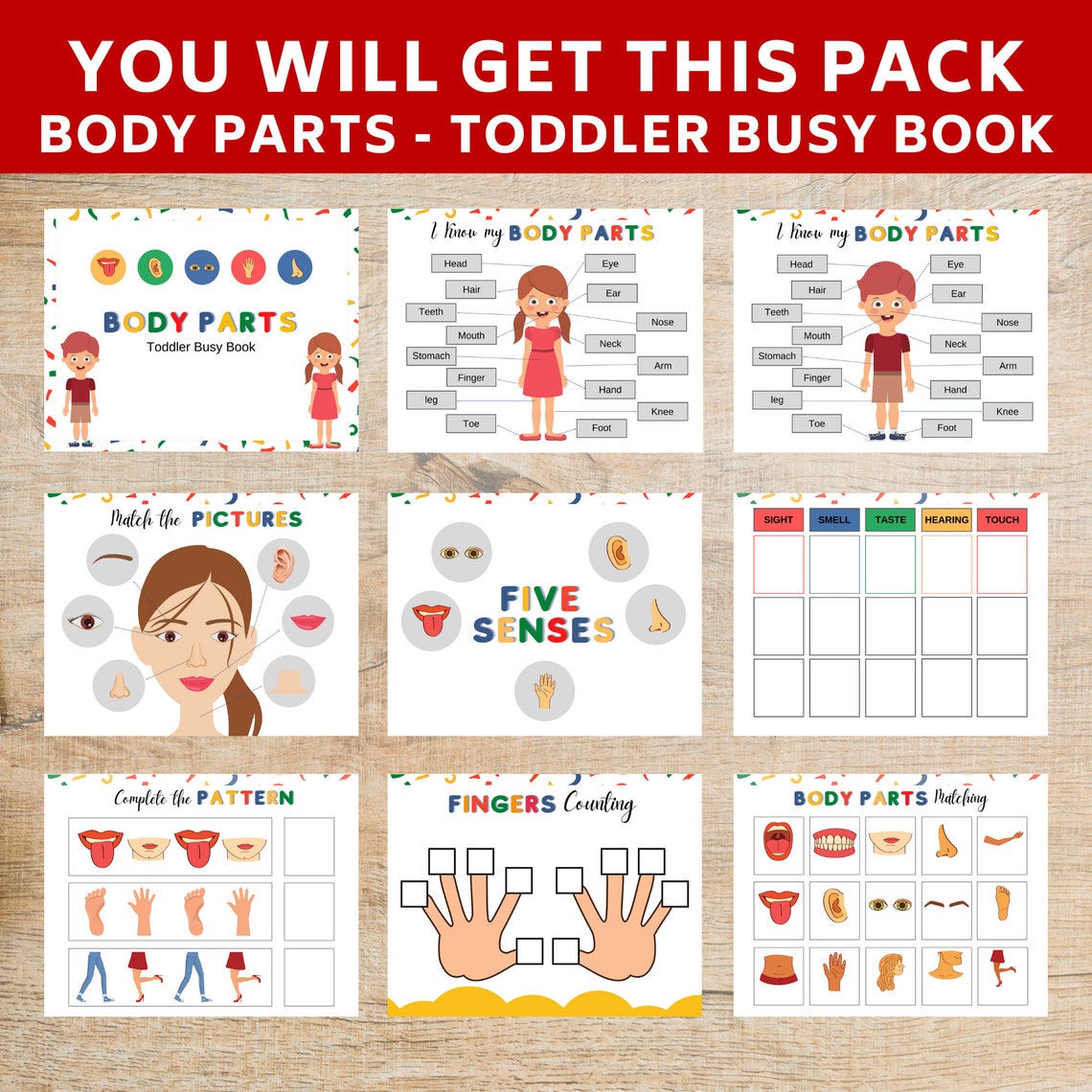 Body Parts Toddler Busy Book Body parts worksheets printable Etsy