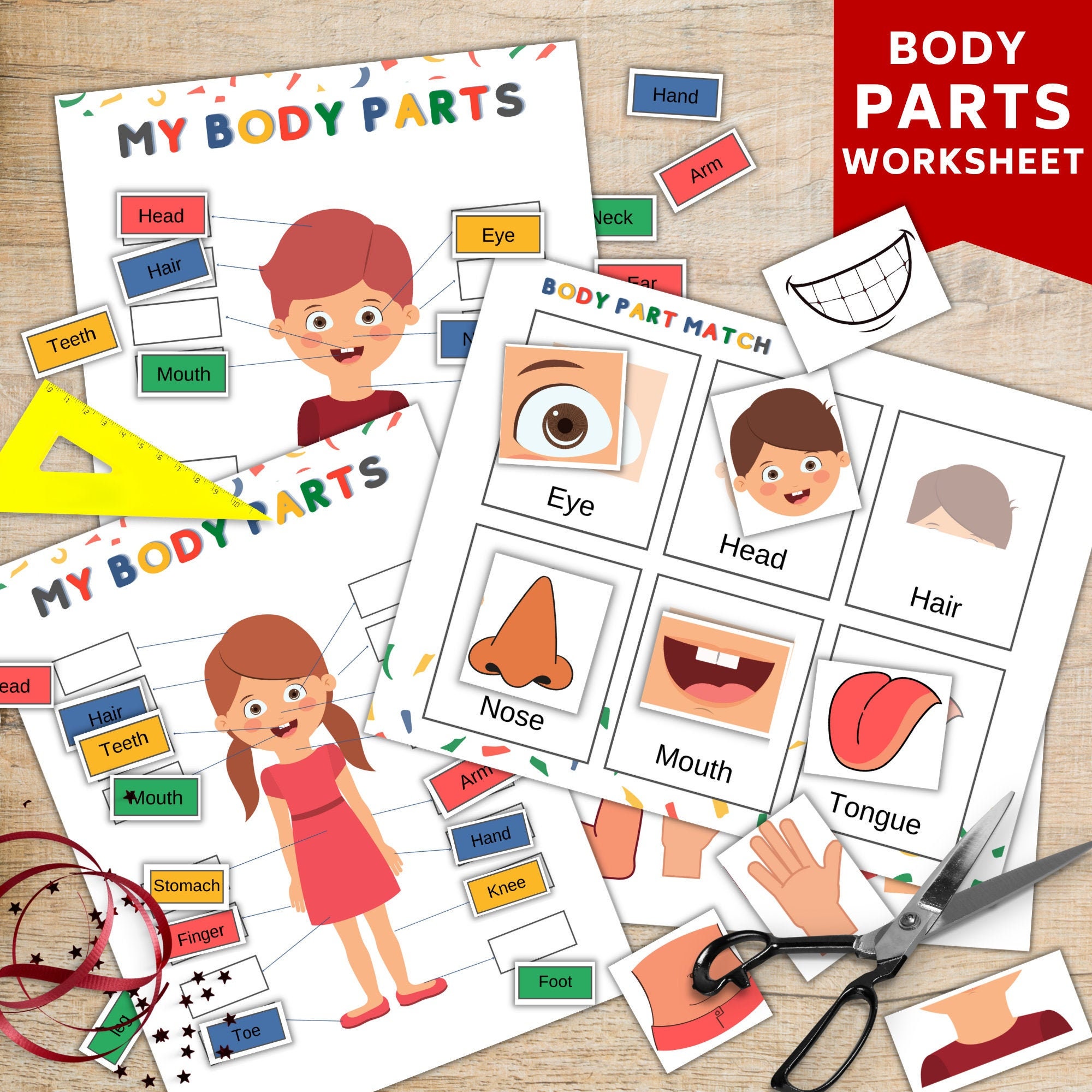 body parts worksheet printable body parts activity sheet etsy