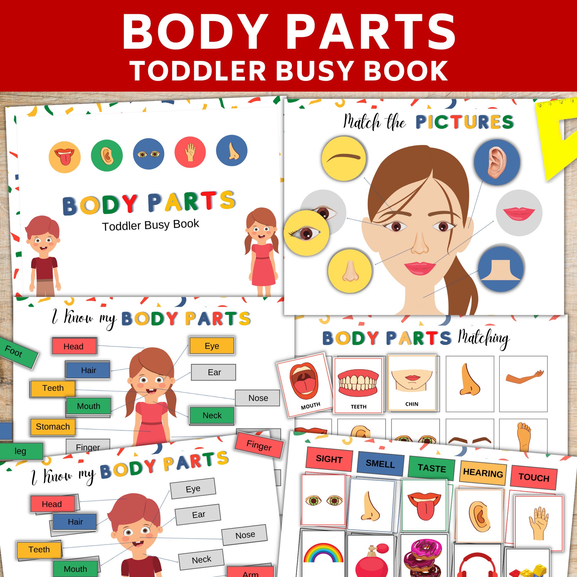 Body Parts Toddler Busy Book Body parts worksheets printable Etsy