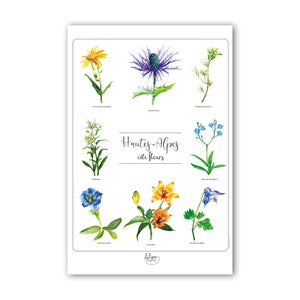 Póster cartel sin suspensión de madera - flores de acuarela decoración botánica montaña Altos Alpes
