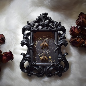 Framed 2 longhorn beetles ( paranaleptes reticulata ) in black shadow box - genuine beetles - wall mountable - wall art - gothic decor -gift