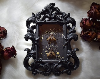 May include: A black ornate frame with gold accents holds two preserved insects with gold glitter on a black background.