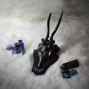 May include: Black deer skull mounted on a black wooden plaque with a decorative floral design. The skull is surrounded by a variety of crystals, including amethyst, clear quartz, and turquoise.