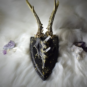 Liquid gold leaf painted skull with 4 clear quartz crystals - taxidermy art - wall art -wall mountable skull with and without wooden shield