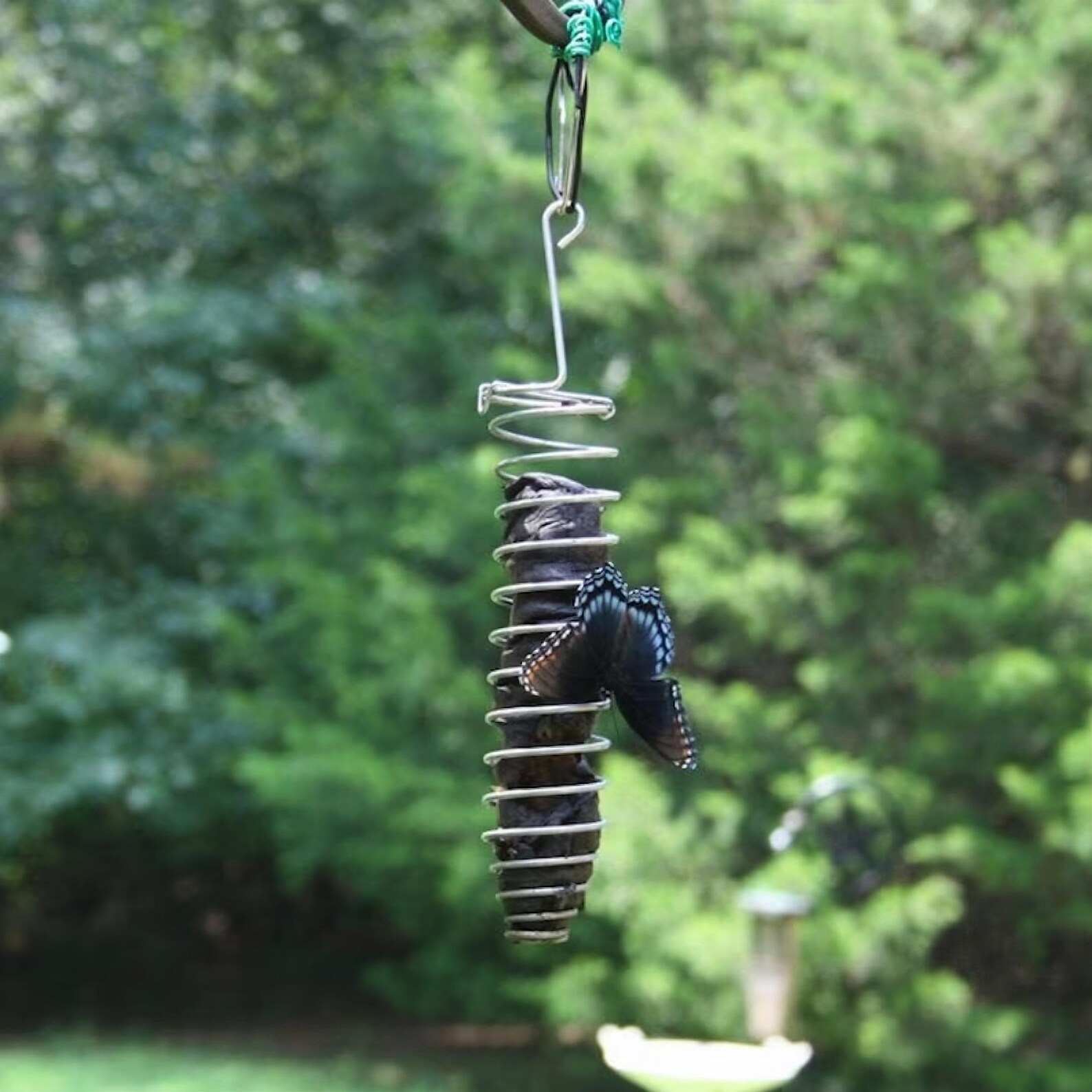 Monarch Butterfly Banana Feeder/monarch Butterfly Feeder/orange Bird