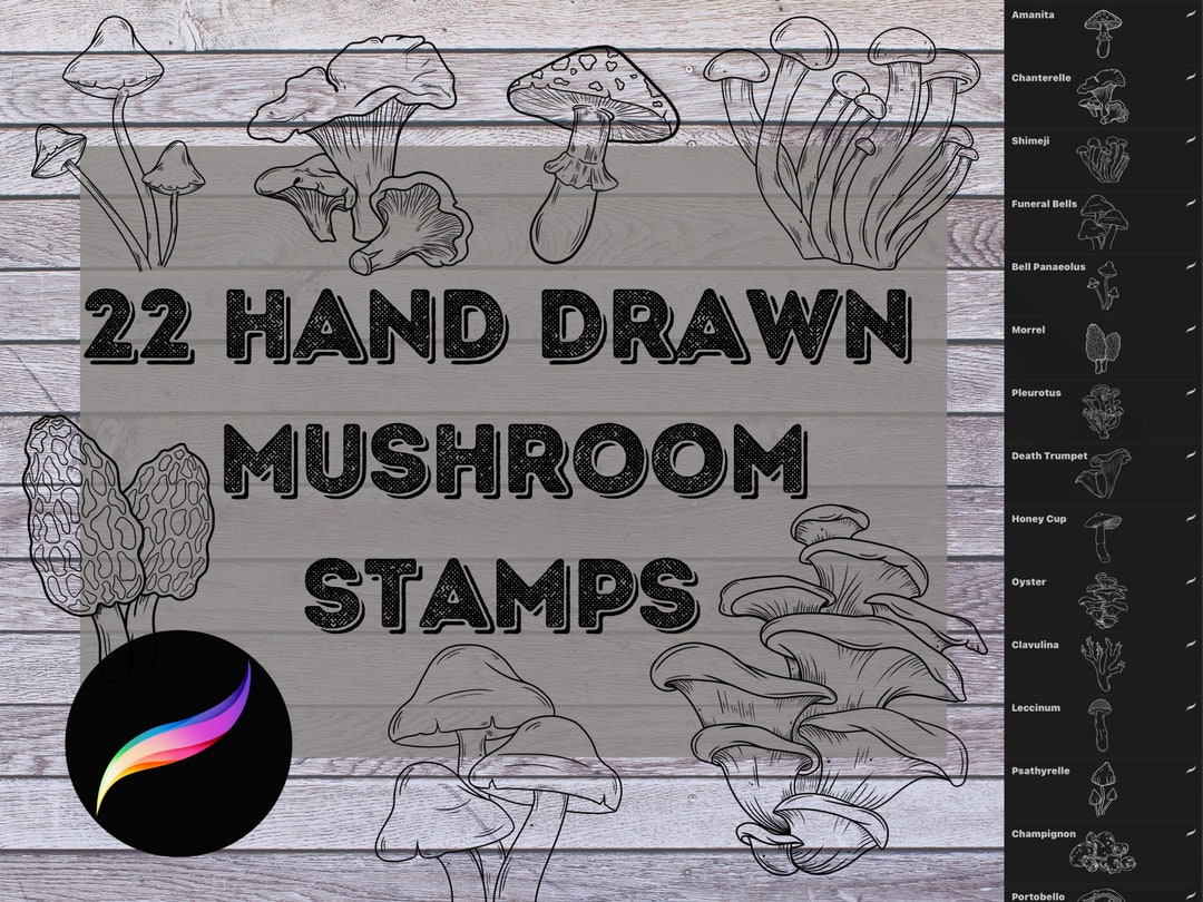 Procreate Mushroom Stamp Pack - Brushes for Tattoo, Nature Scenes ...