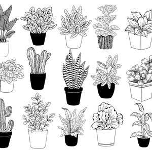 Puede incluir: Una colecci&oacute;n de 14 dibujos en blanco y negro de varias plantas en maceta. Las plantas incluyen cactus, suculentas, helechos y plantas de hoja.