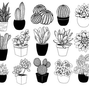 Puede incluir: Una colecci&oacute;n de 15 dibujos en blanco y negro de diferentes plantas en maceta, incluyendo suculentas, cactus y helechos. Las plantas est&aacute;n dibujadas en un estilo simple y minimalista.