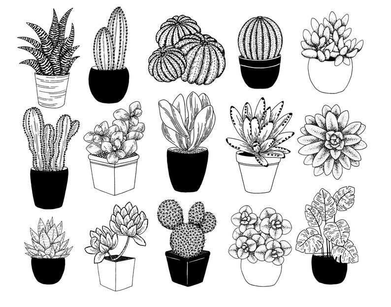 Puede incluir: Una colecci&oacute;n de 15 dibujos en blanco y negro de diferentes plantas en maceta, incluyendo suculentas, cactus y helechos. Las plantas est&aacute;n dibujadas en un estilo simple y minimalista.