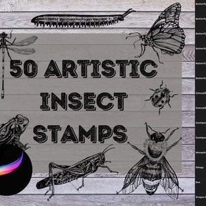 Könnte beinhalten: Ein Set mit 50 künstlerischen Insekten-Stempeln, die eine Vielzahl von Insekten zeigen, darunter Schmetterlinge, Raupen, Tausendfüßler, Mücken und eine Libelle. Die Stempel sind schwarzweiß und haben einen Vintage-Stil.